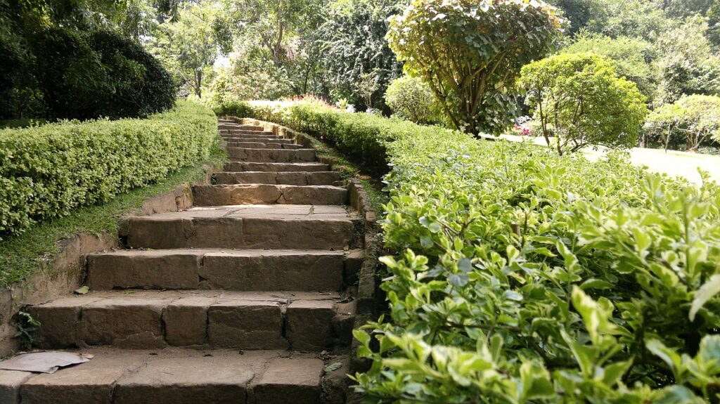3 Tips for Landscaping Your Yard
