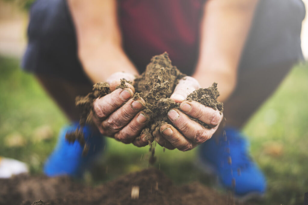 What is Topsoil?