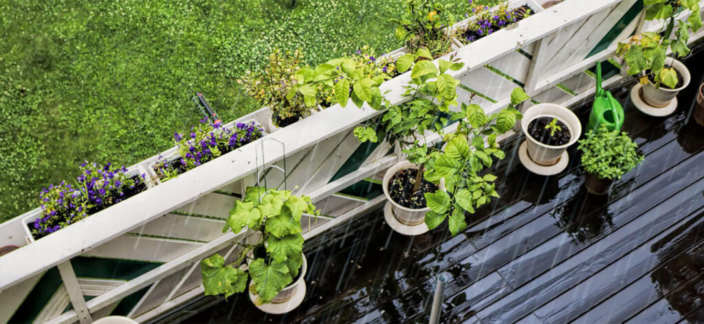 5 Ways to Take Care of Your Indoor Plants During the Rainy Season